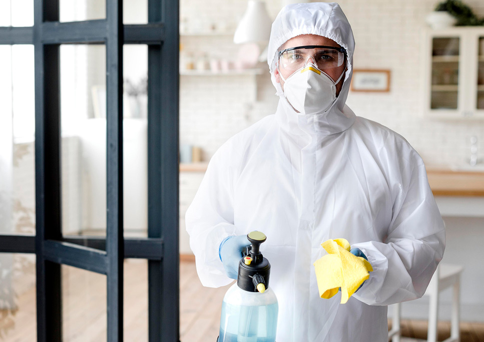 carpet cleaning in new york, carpet cleaning New York, carpet cleaners in New York, commercial carpet cleaning, commercial carpet cleaning in New York, New York rug cleaners, rug cleaning services in New York, same day carpet cleaning, same day rug cleaning, upholstery cleaning services in new york, carpet cleaning services in ny, ny carpet cleaning , rug cleaning ny, upholstery cleaning ny