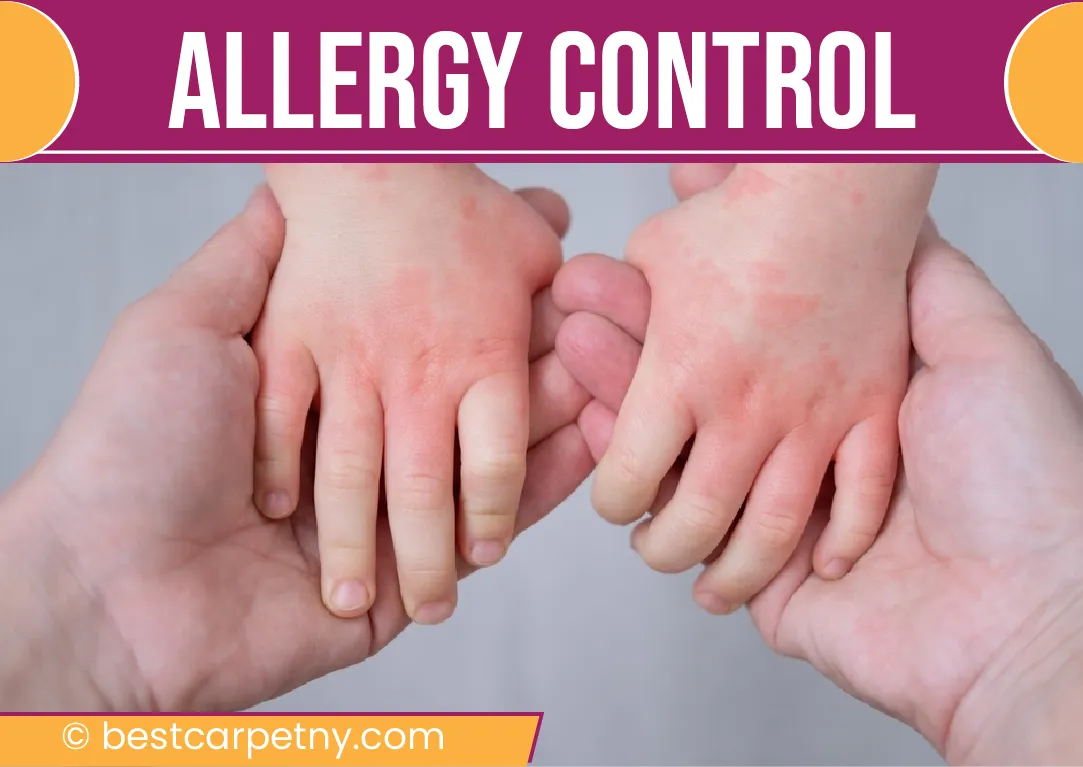 carpet cleaning in new york, carpet cleaning New York, carpet cleaners in New York, commercial carpet cleaning, commercial carpet cleaning in New York, New York rug cleaners, rug cleaning services in New York, same day carpet cleaning, same day rug cleaning, upholstery cleaning services in new york, carpet cleaning services in ny, ny carpet cleaning , rug cleaning ny, upholstery cleaning ny